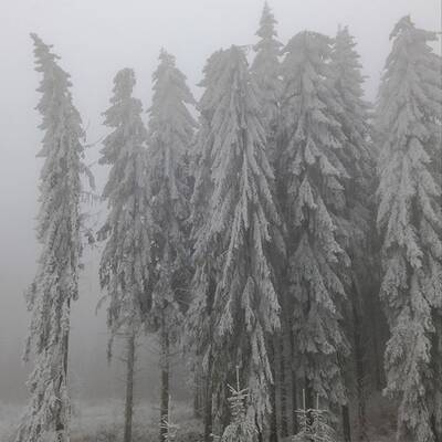 Ausnahmezustand in Ottenschlag