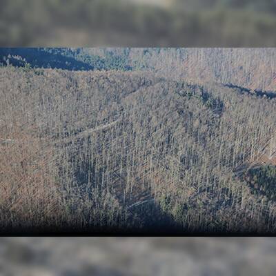 So enorm sind die Schäden