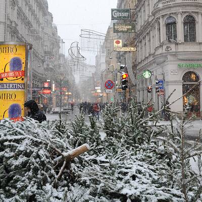 Schneewalze trifft Wien
