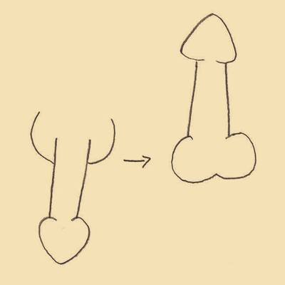 Der beschnittene Penis