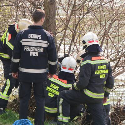 Auto stürzte nach Unfall in den Donaukanal 