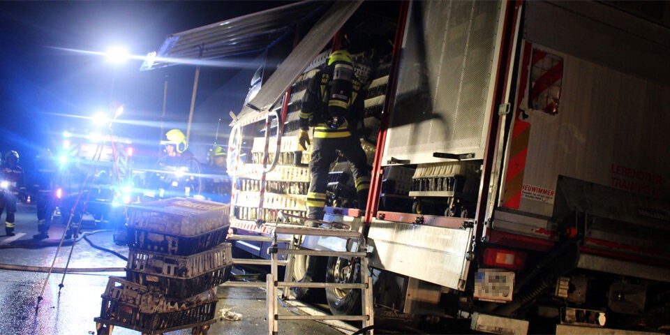 Tiertransporter geriet auf der A1 in Brand