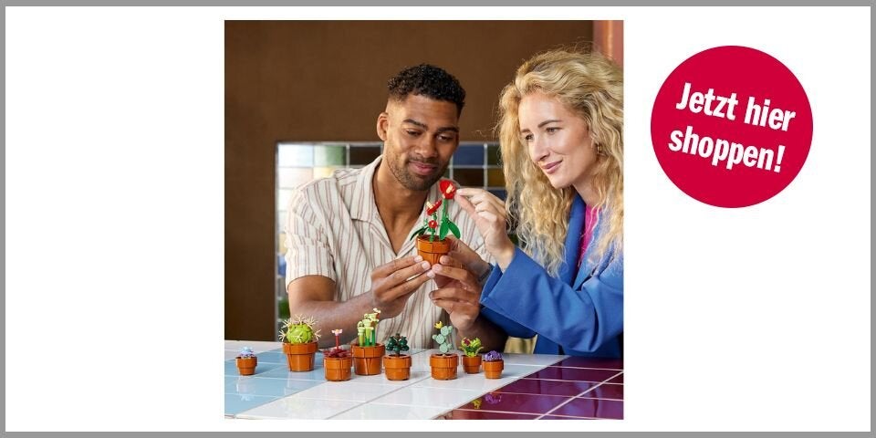 LEGO Botanicals Tiny Plants – für 31,84 Euro bei Amazon*&nbsp;