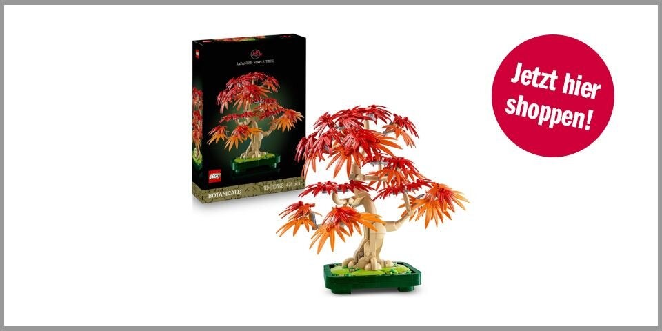 Shopping CH Lego Sammler LEGO Botanicals Japanischer Ahorn