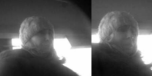 Das ist Österreichs gemeinste Diebin