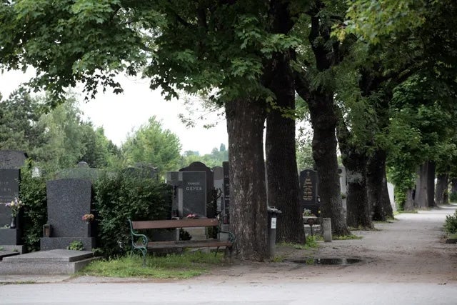 Friedhof Groß Jedlersdorf