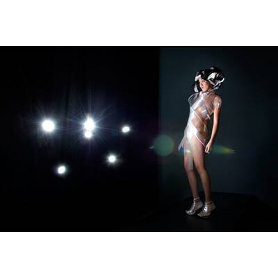 Das Roosegaarde-Kleid