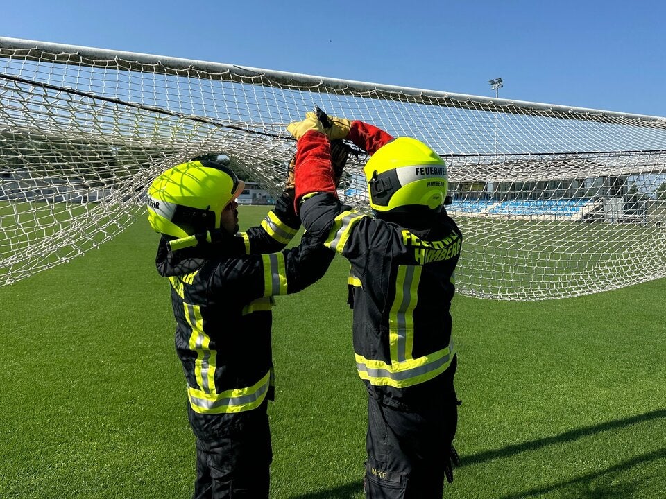 Rabe in Fussballnetz Himberg