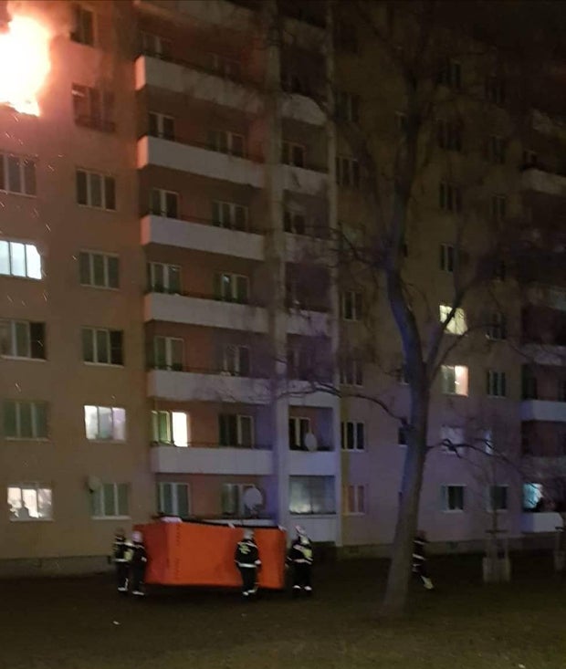 Feuer-Drama in Wien: Mann & Hund verletzt