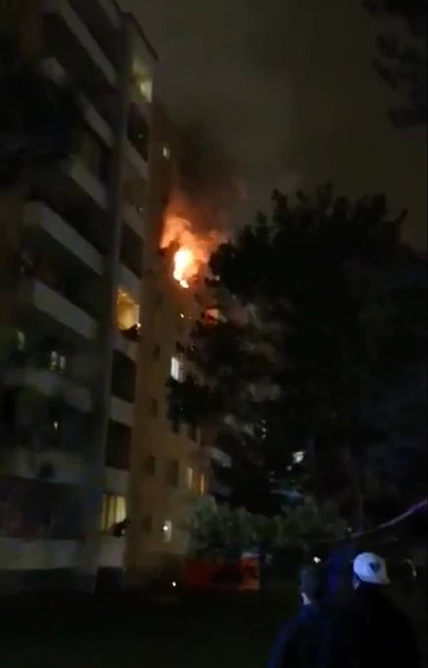 Feuer-Drama in Wien: Mann & Hund verletzt