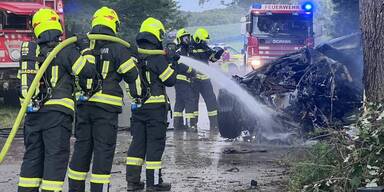 E-Autobrand Wienerwald
