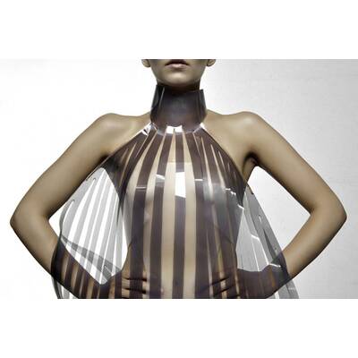 Das Roosegaarde-Kleid