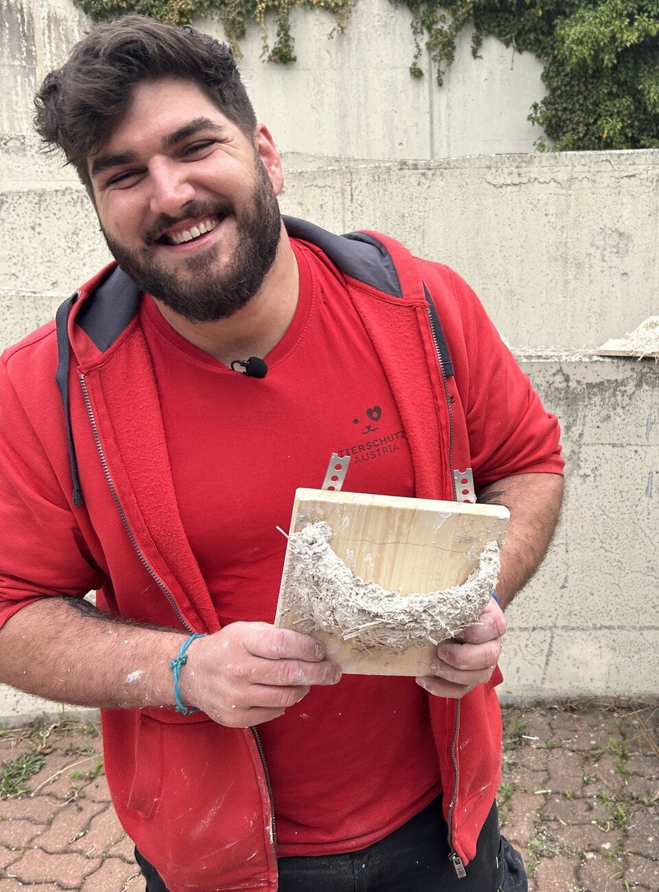 Schwalben in Not: Rückkehr wird zum Überlebenskampf