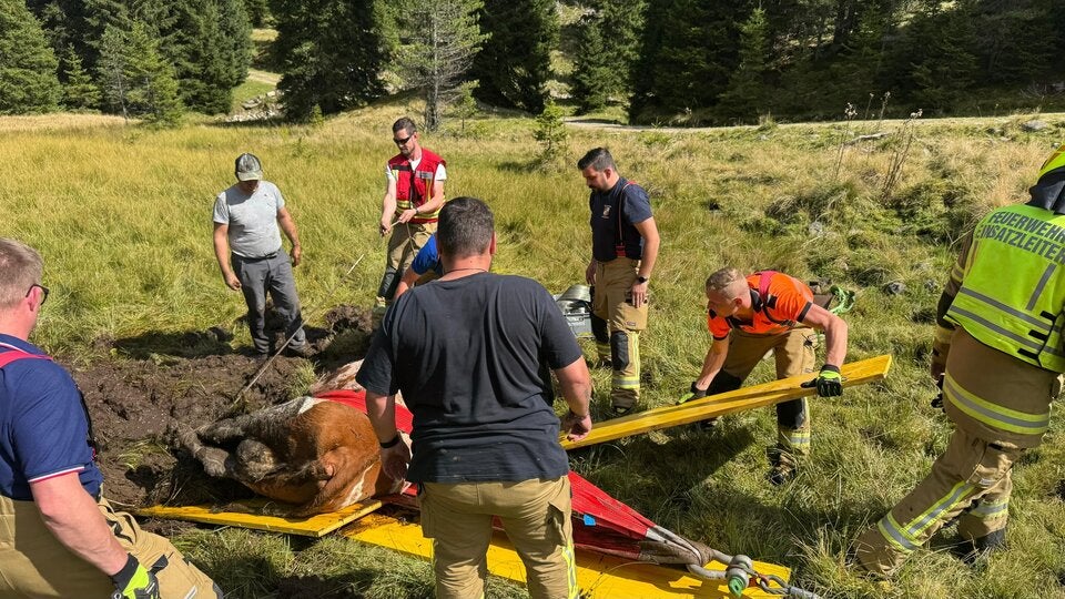 Großeinsatz wegen Kuh Feuerwehr Ramingstein