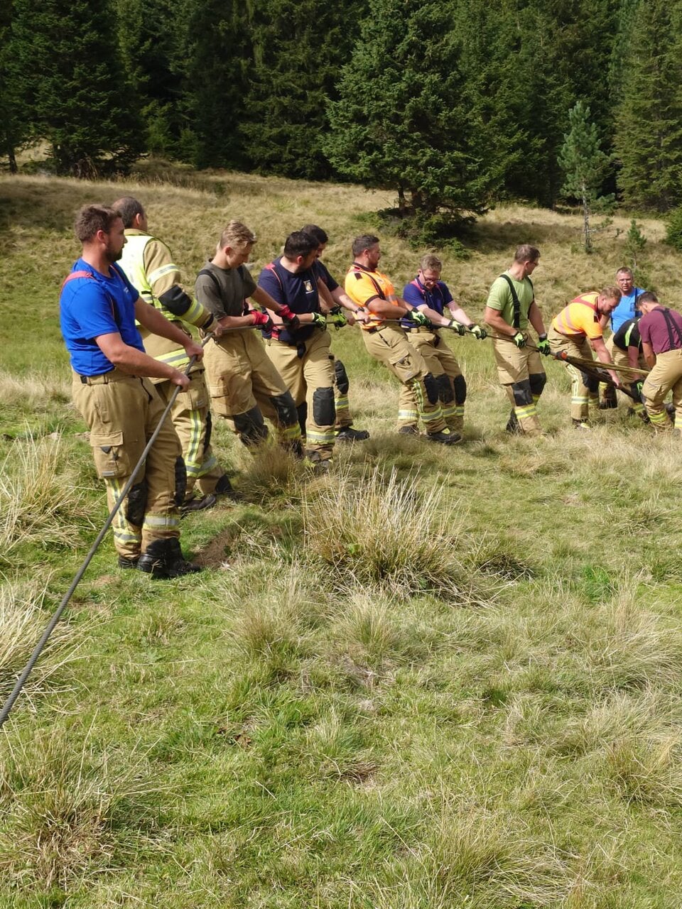 Großeinsatz wegen Kuh Feuerwehr Ramingstein