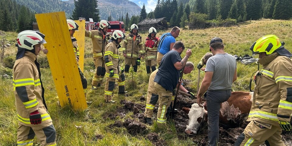 Großeinsatz wegen Kuh Feuerwehr Ramingstein