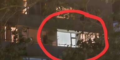 Mord Wien Vorgartenstraße