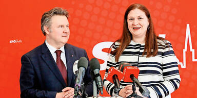 "Neos planen Pakt mit FP&Ouml; gegen Ludwig"