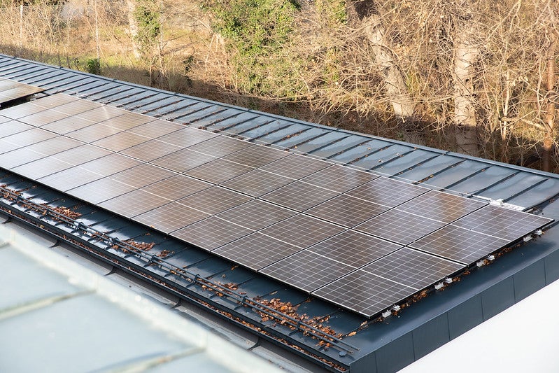 HBLFA Gartenbau Demohalle Schönbrunn