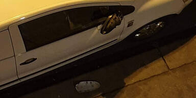 18-J&auml;hriger schl&auml;gt Seitenspiegel von 15 Autos ab