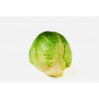 Lebensmittel ohne Kohlenhydrate