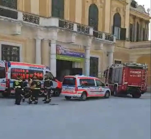 60-Jähriger bricht vor Schönbrunn zusammen – tot