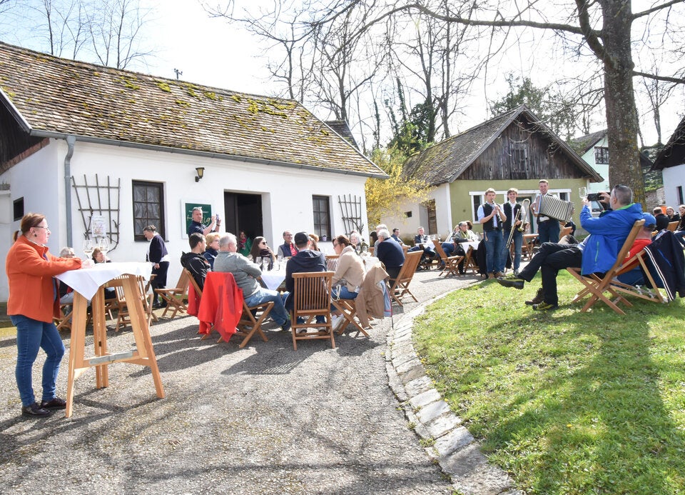 Heute noch eintauchen ins Weinviertel-Feeling