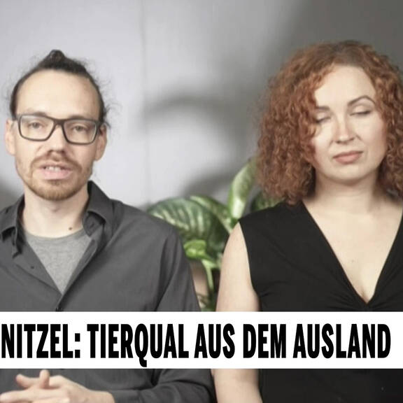 Unsere Tiere: Das grosse Tierschutz-Magazin