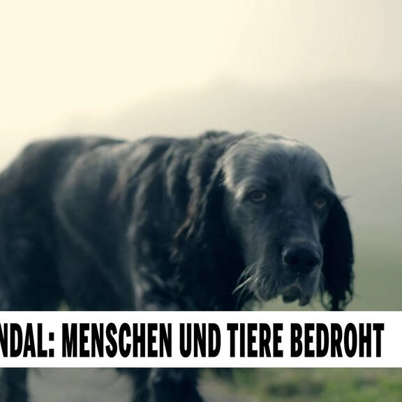 Unsere Tiere: Das große Tierschutz-Magazin