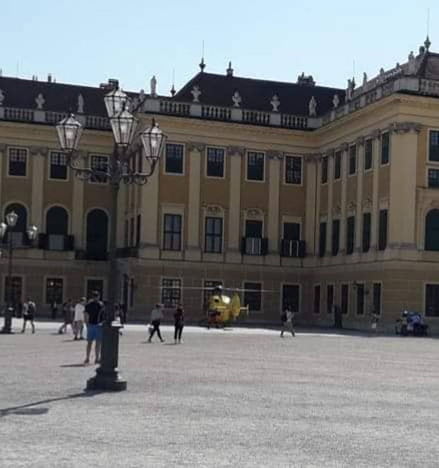 60-Jähriger bricht vor Schönbrunn zusammen – tot