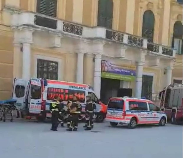 60-Jähriger bricht vor Schönbrunn zusammen – tot