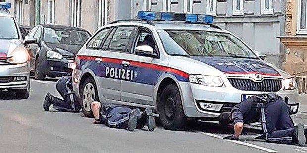 Chihuahua Wien Polizei