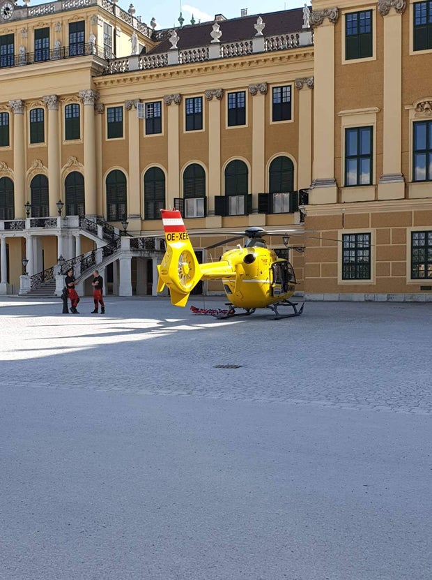 60-Jähriger bricht vor Schönbrunn zusammen – tot