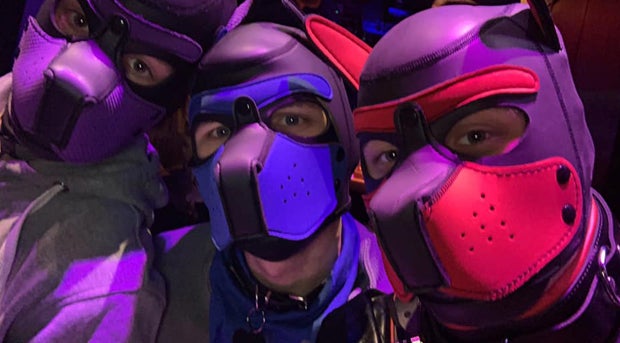 Grünen-Politiker zeigt sich nackt in TV-Show