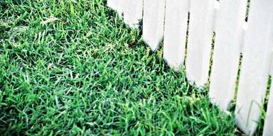 Schatz, den Rasen kann ich jetzt nicht m&auml;hen!