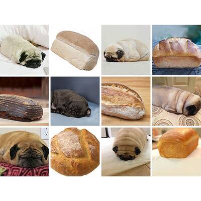 Entlein oder Kochbanane