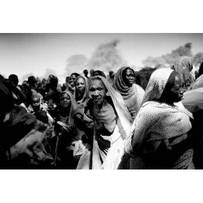 Die weltbesten Pressefotos des Jahres