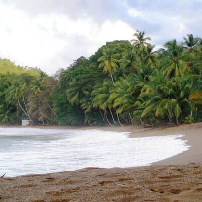 10. Cathedral Cove, Hahei, Coromandel (Neuseeland)
