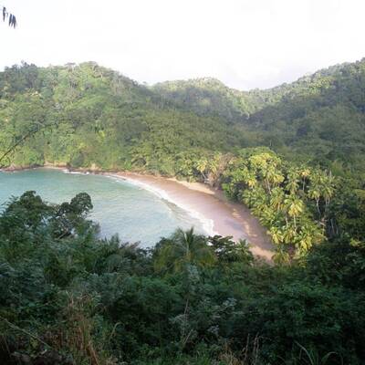 10. Cathedral Cove, Hahei, Coromandel (Neuseeland)