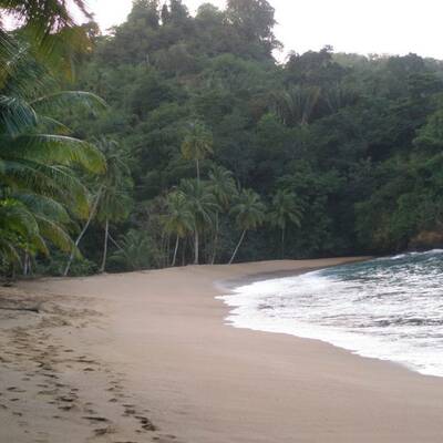10. Cathedral Cove, Hahei, Coromandel (Neuseeland)