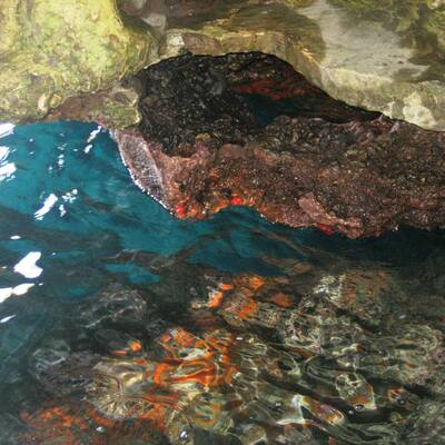 10. Skocjan Caves – Divaca, Triest, Slowenien
