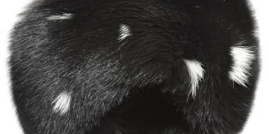 Sind Pelze wieder cool?