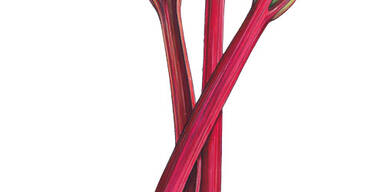 Jünger, schöner & gesünder mit Kräutern