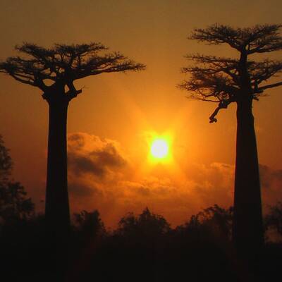 Uluru-Kata Tjuta Nationalpark im Nordterritorium/Australien