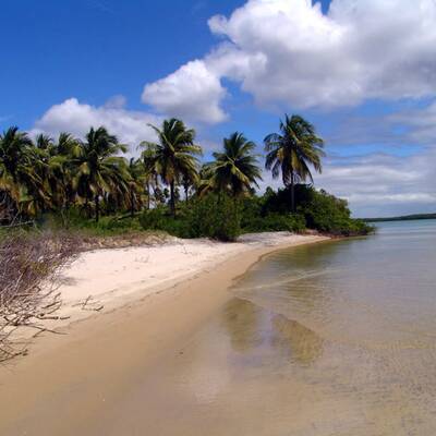 10. Praia do Rosa Beach
