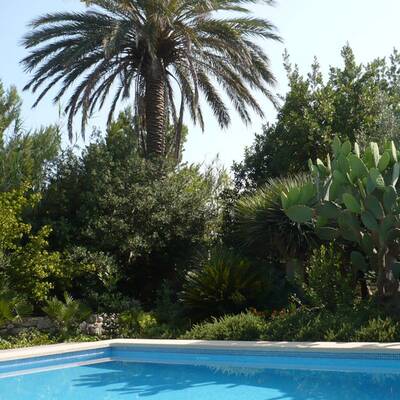 Finca Xisca Puerto Andrtax, Port d'Andratx