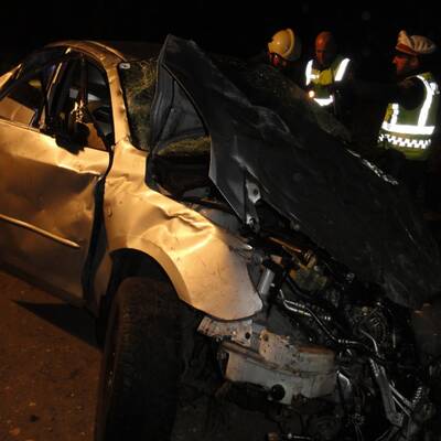 Ein 20-Jähriger prallte gegen Leitpflock und hob dann ab.