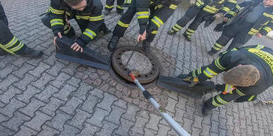 Tierretter 'schraubten' Ratte aus Kanaldeckel
