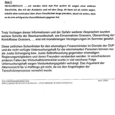 Geheime Grasser-Protokolle