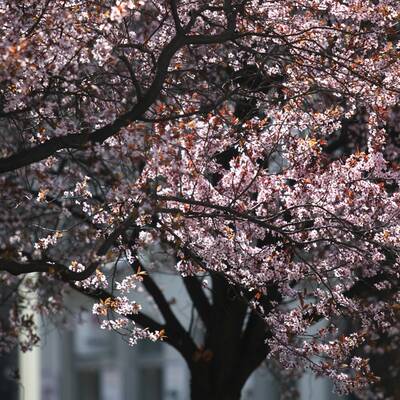 Sonnige Mittagspause